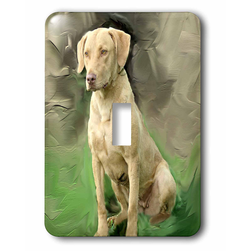 3drose Chesapeake Bay Retriever 1 Gang Toggle Light Switch Wall Plate Wayfair