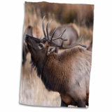 Estes Park Collection Wayfair