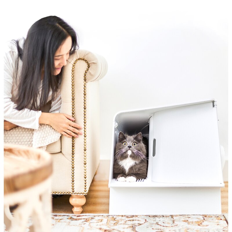 petkit litter box