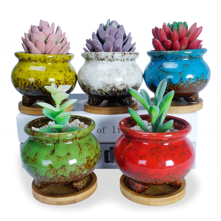 4.7 Inch Ceramic Cactus Planter Pots Tripod Small Glazed Flower Pots with Drainage Hole Perfect for Desk or Windowsill Pack of 5 Succulent Pots 