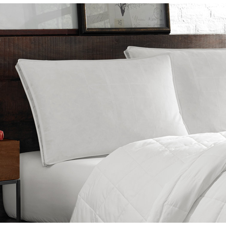 eddie bauer down pillows
