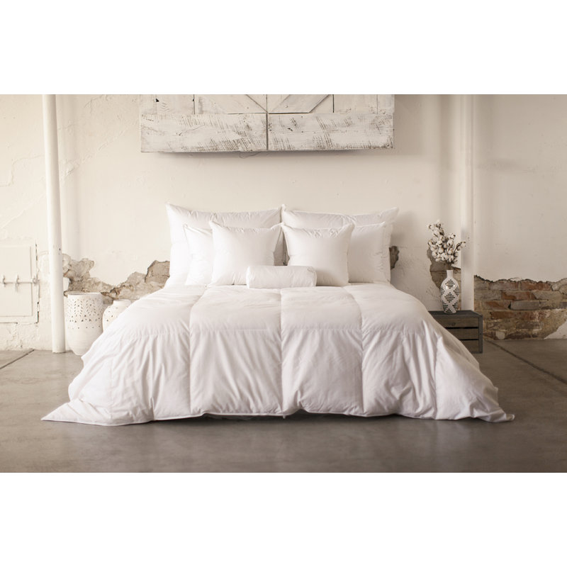 Alwyn Home Light Weight Cotton Sateen Down Comforter Wayfair