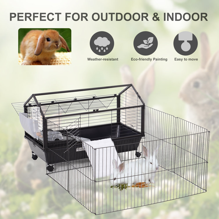 all living things exercise pen