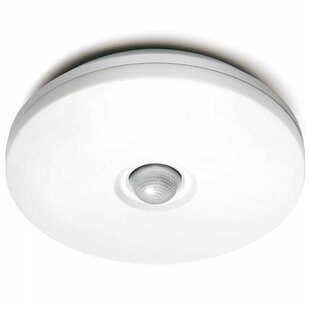 Bradt 2-Light Outdoor Flush Mount By Sol 72 Outdoor
