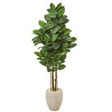 Faux Plants & Trees | Joss & Main