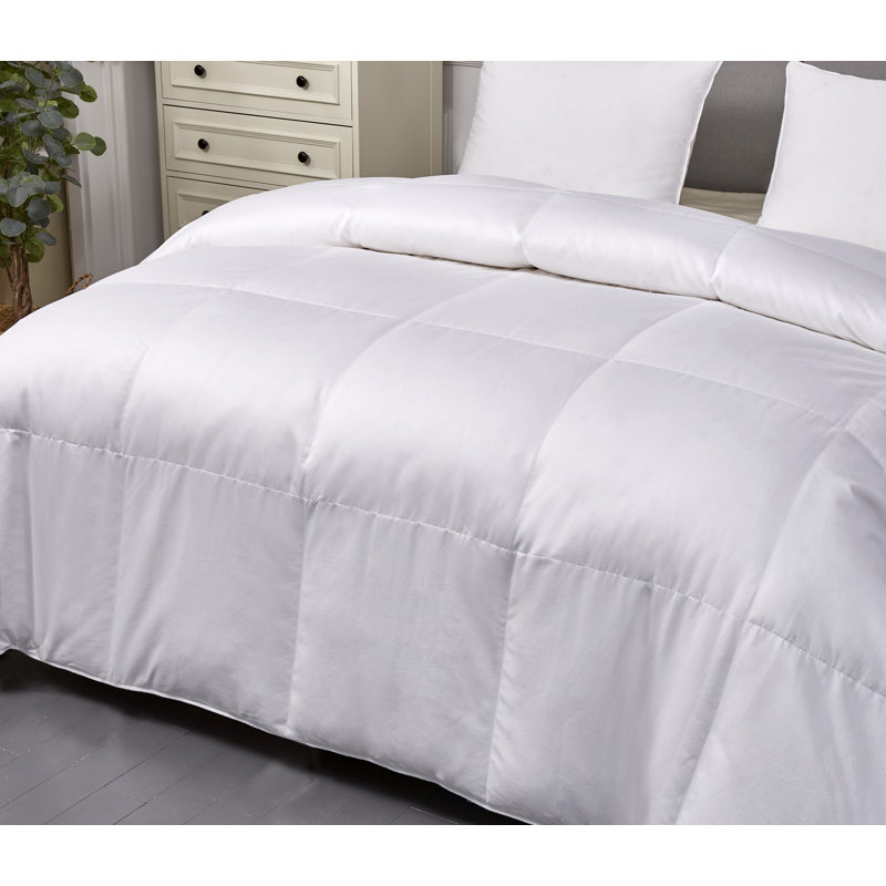 Alwyn Home 1000 Thread Count All Season Down Comforter Reviews