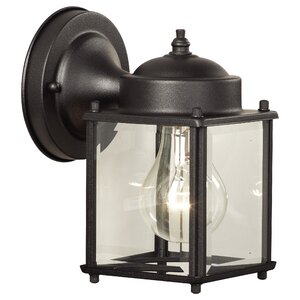 Steward 1-Light Outdoor Wall Lantern