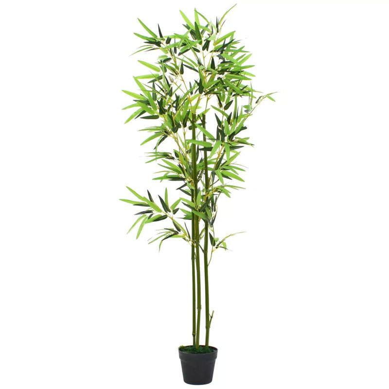 The Seasonal Aisle Floor Plant Bamboo in Pot Wayfair.co.uk