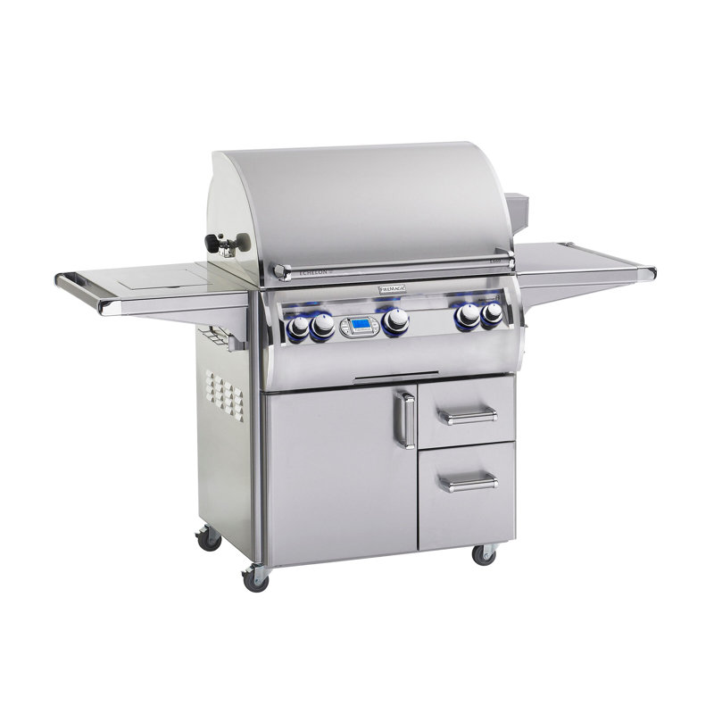 Fire Magic Echelon Diamond Portable 3 Burner Gas And Charcoal