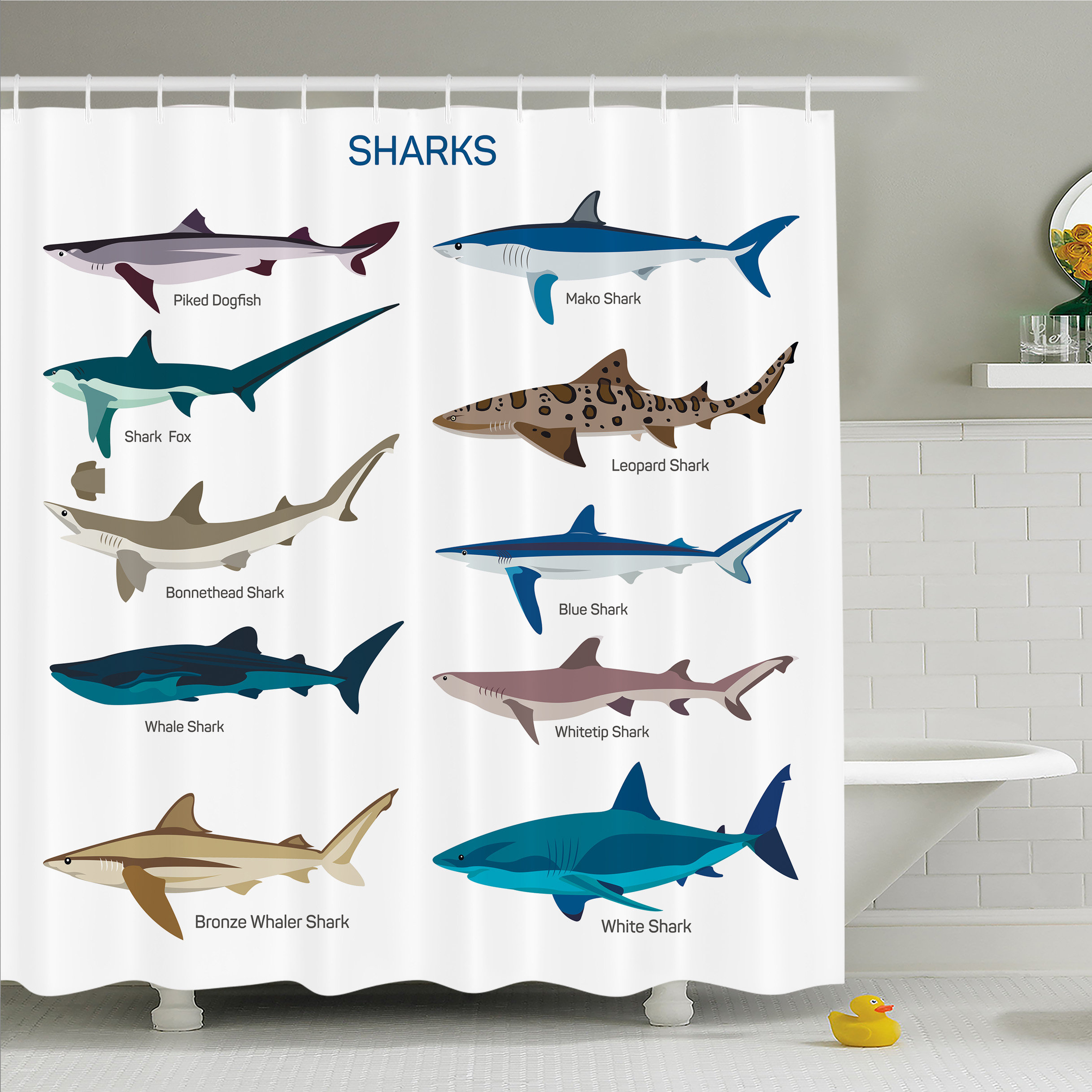 Ambesonne Sea Animal Collection Types Of Sharks Bronze Whaler And