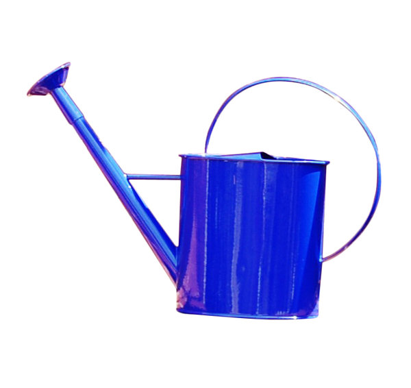 Griffith Creek Designs Metal 1 Gallon Watering Can With Long Spout Griffith Creek Designs Metal 1 Gallon Watering Can With Long Spout Reviews Wayfair
