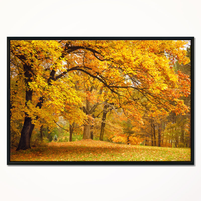 East Urban Home Golden Autumn Forest Framed Photographic Print On Wrapped Canvas Wayfair