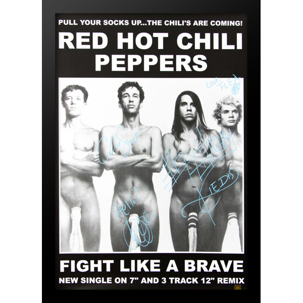 Luxewest Red Hot Chili Peppers Fight Like A Brave Autographed Music Poster Wayfair