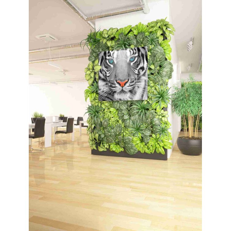 Epic Graffiti 'Thrill of the Tiger' Giclee Canvas Wall Art 