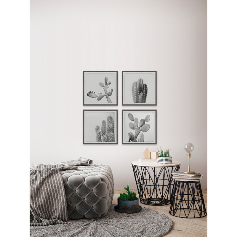 Mercury Row Cacti Types Quadriptych By Marmont Hill 4 Piece Picture Frame Graphic Art Print Set On Paper Reviews Wayfair