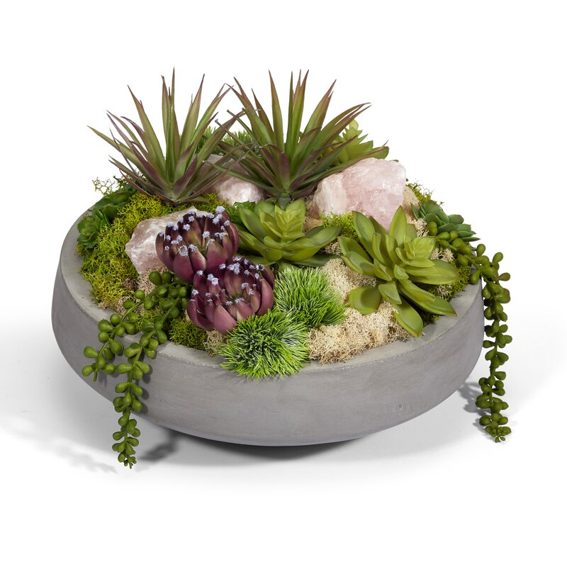 T&C Floral Company Artificial Succulent Plant in Pot | Wayfair