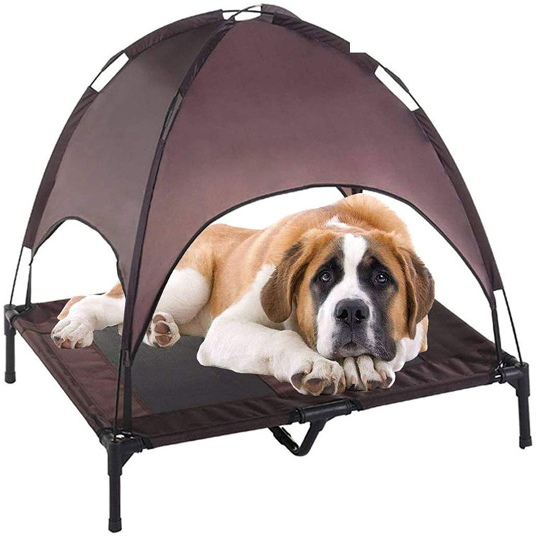 elevated dog bed with canopy