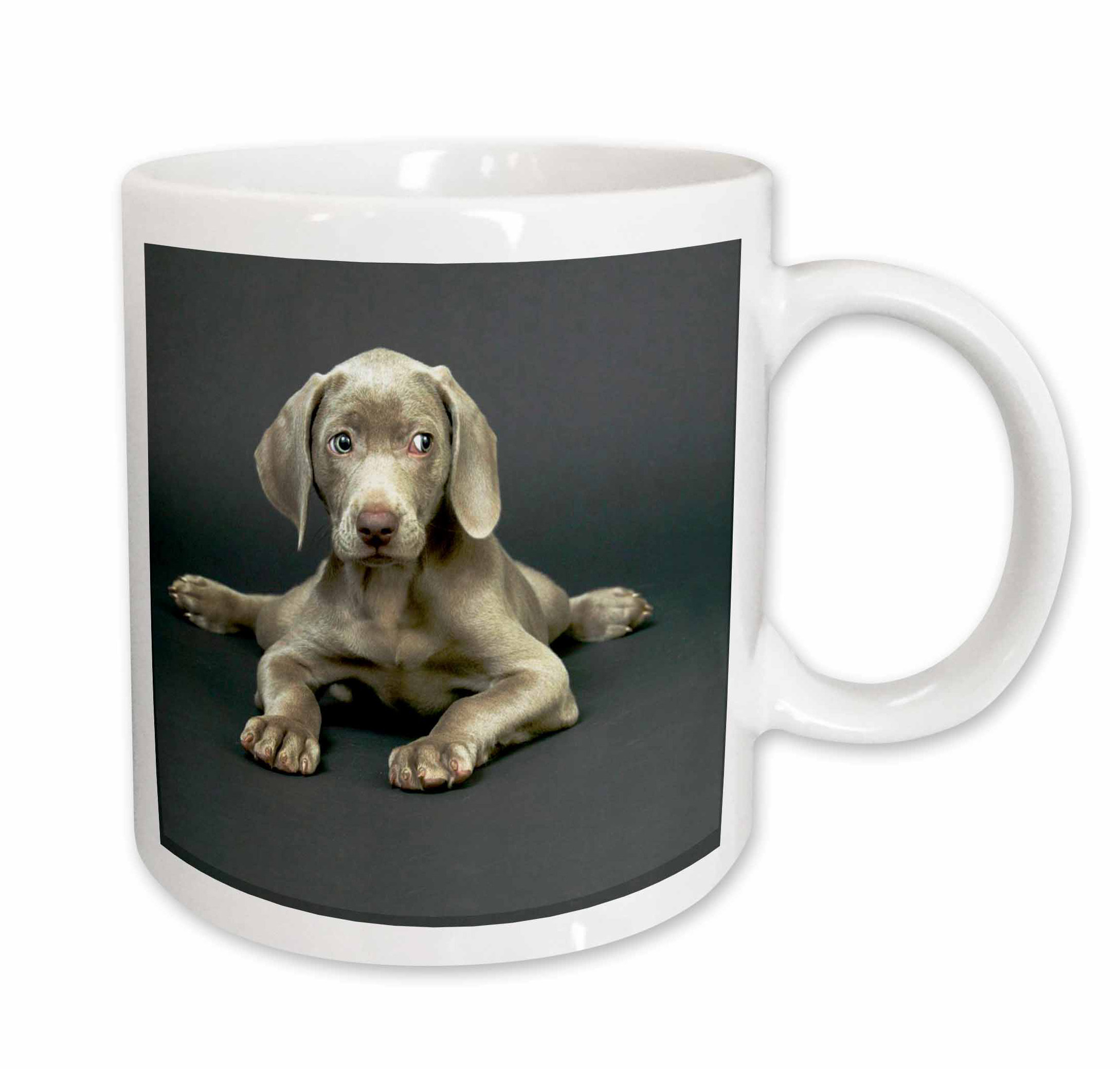 weimaraner coffee mugs