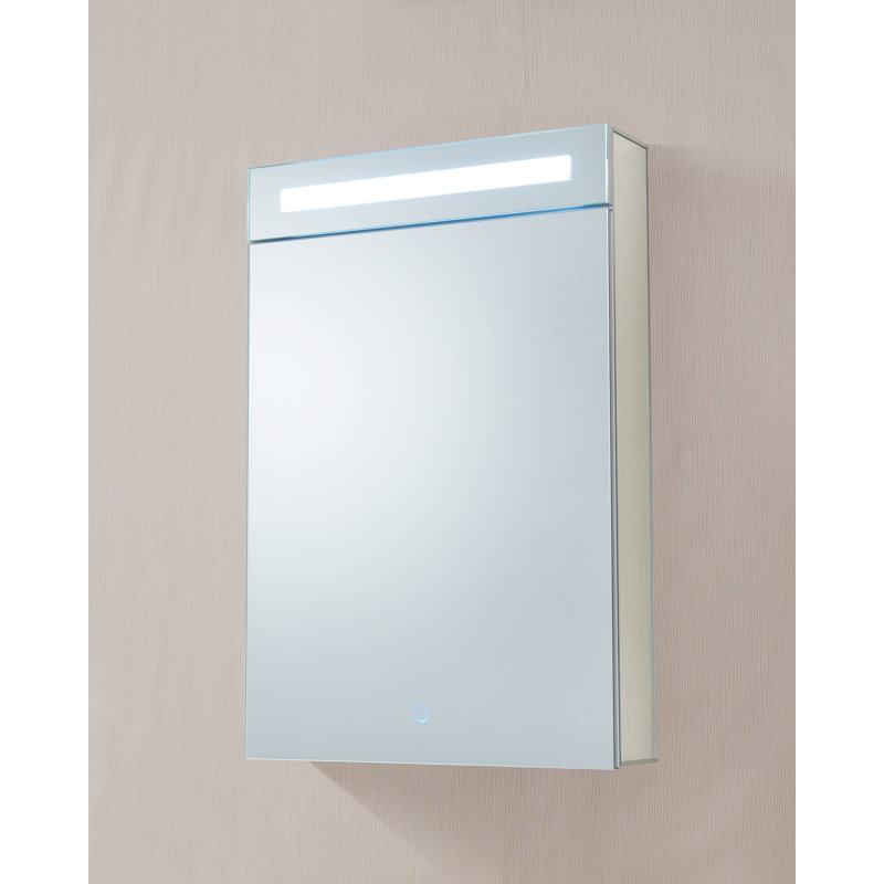 Orren Ellis Dahlstrom 20" x 30" Recessed/Surface Mount ...