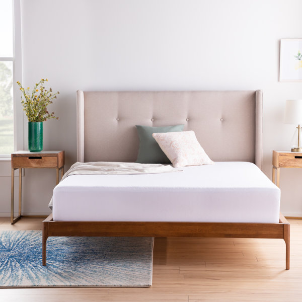 Safe Rest Mattress Protector Wayfair Ca