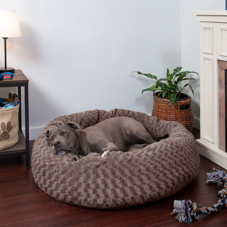 huge dog bed