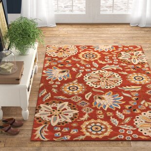 Farmhouse Rustic Orange Area Rugs Birch Lane