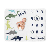 Dinosaur Blanket Wayfair Ca