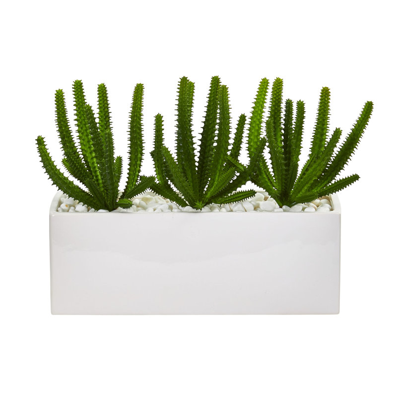 Primrue Artificial Cactus Finger Succulent Plant In Decorative Vase Wayfair