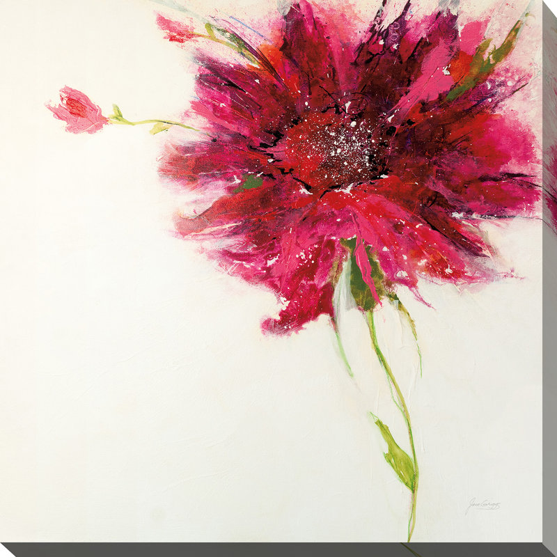 Latitude Run Pink Daisy On White Acrylic Painting Print On