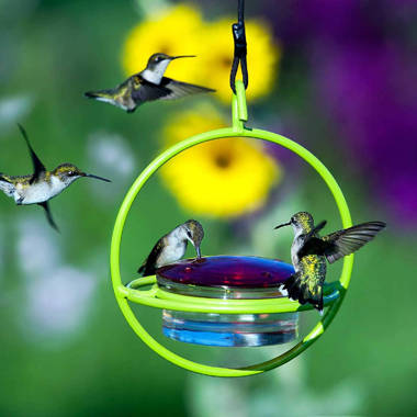 Woodlink NA5572 Audubon Hummingbird Nectar Ant Off Feeder 2.7-Inch 