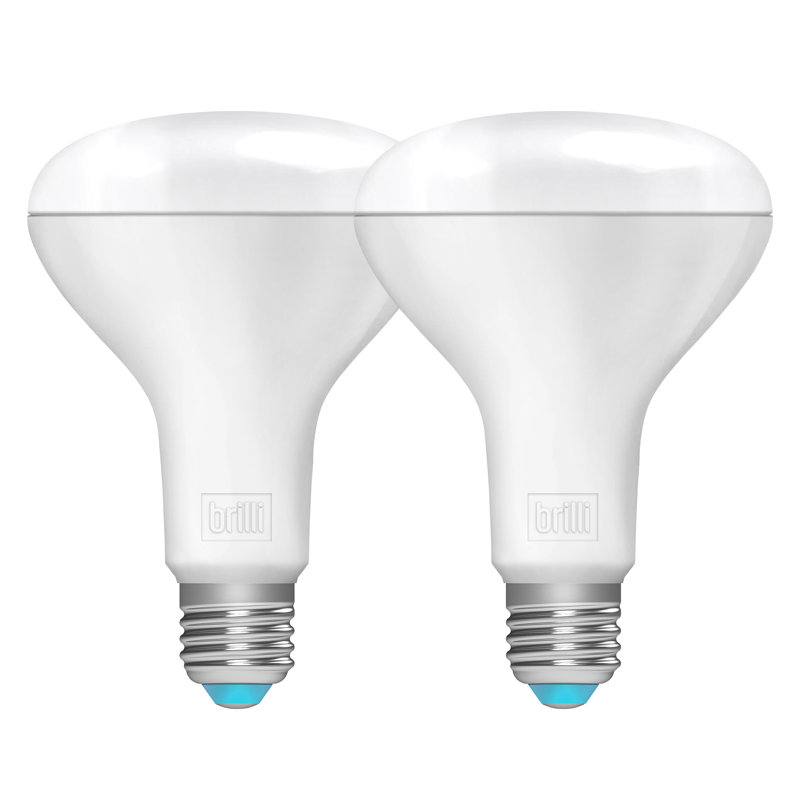 Brilli Wellness 9 5 Watt 65 Watt Equivalent Br30 Led Dimmable Light Bulb Daylight 5000k E26 Medium Standard Base Reviews Wayfair