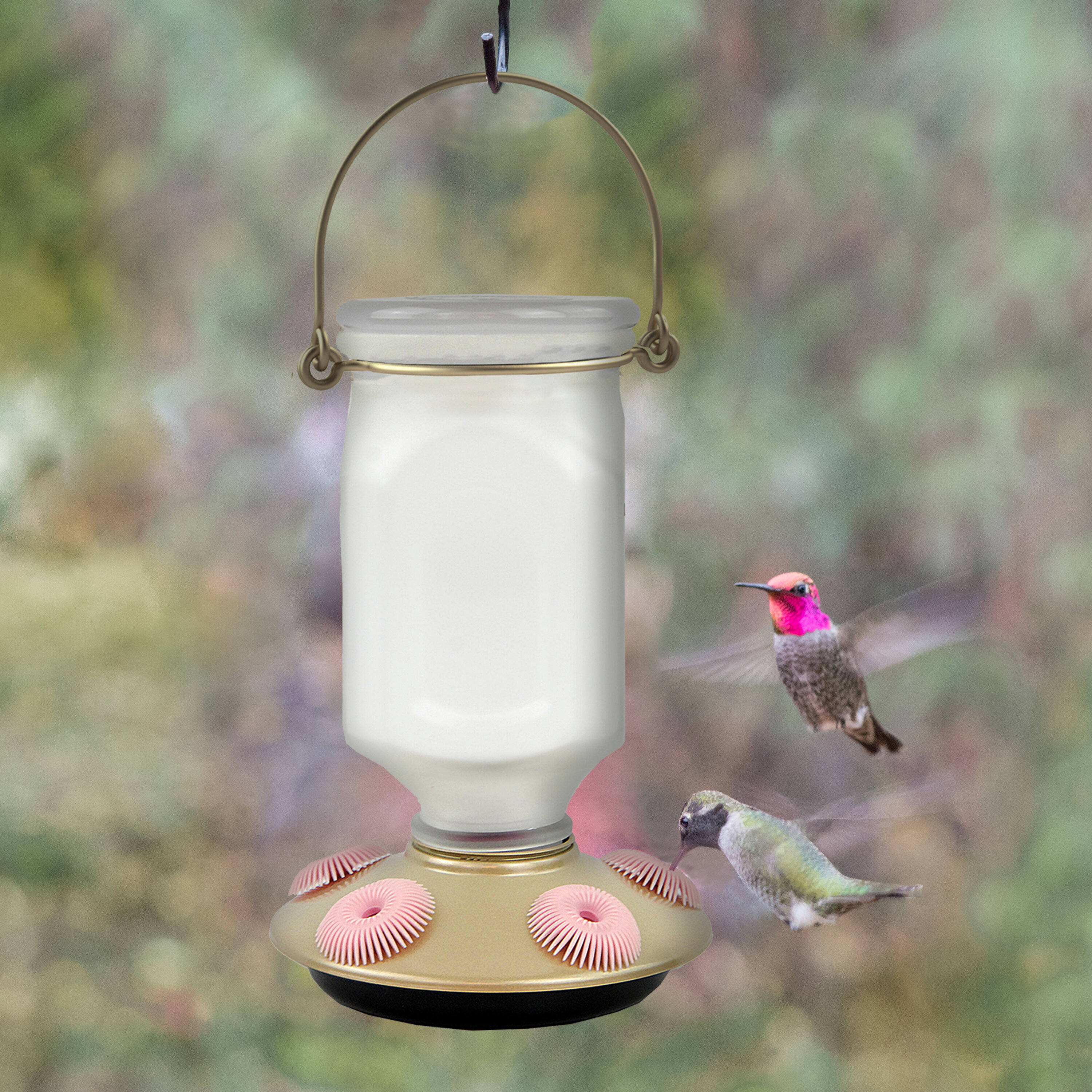 Perky Pet Sun Kissed Top Fill Glass Hummingbird Feeder Wayfair Ca