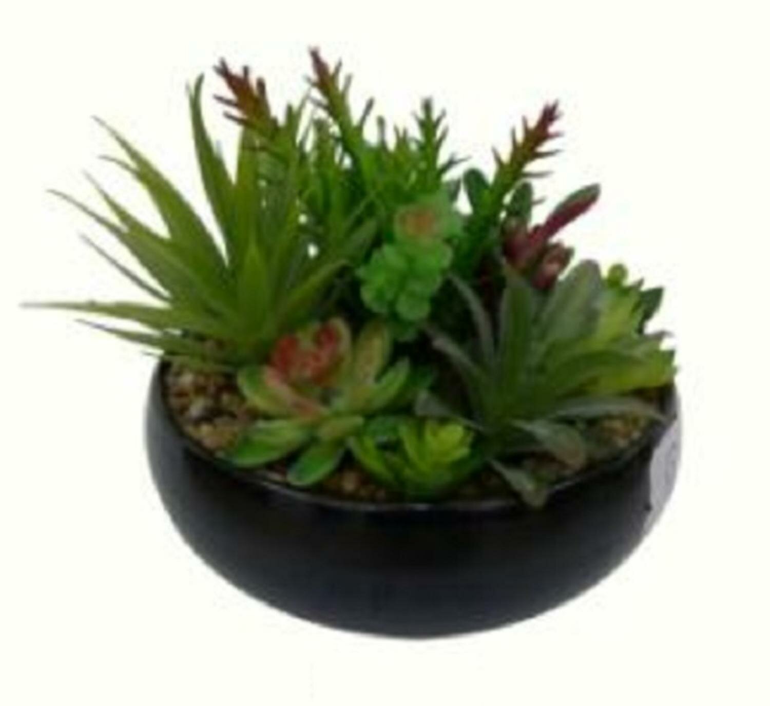 Northlight 8 Artificial Succulent Plant Arrangement In Black Bowl Vase Wayfair 6794