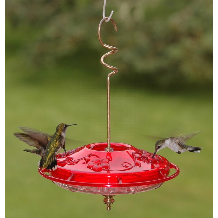 Aspects Inc Hummzinger Fancy Hummingbird Feeder & Reviews | Wayfair