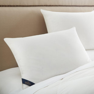 Wool Bed Pillows You Ll Love In 2020 Wayfair