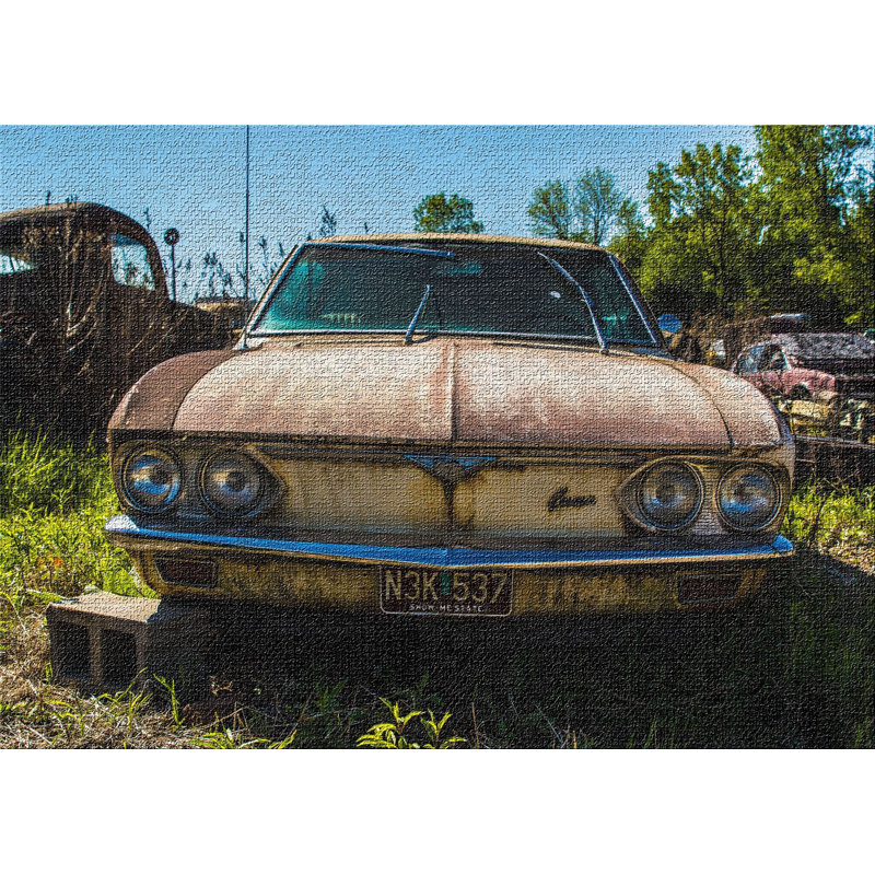 Old and Abandoned 188 Brown Area Rug