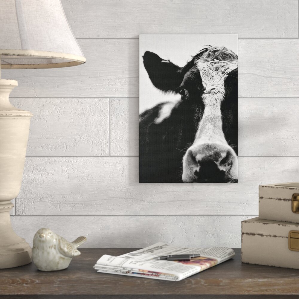 Gracie Oaks Cow Black And White Close Up Photographic Print Reviews Wayfair