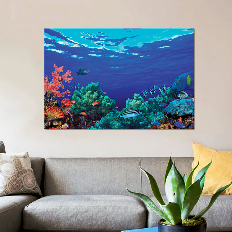 East Urban Home Underwater Coral Reef Community Photographic