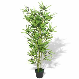 Floor Bamboo Tree In Pot By Bay Isle Home