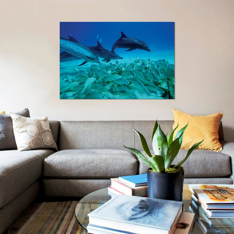 East Urban Home Atlantic Spotted Dolphin Trio Predating On School Of Snappers Bahamas Caribbean Photographic Print On Canvas Wayfair