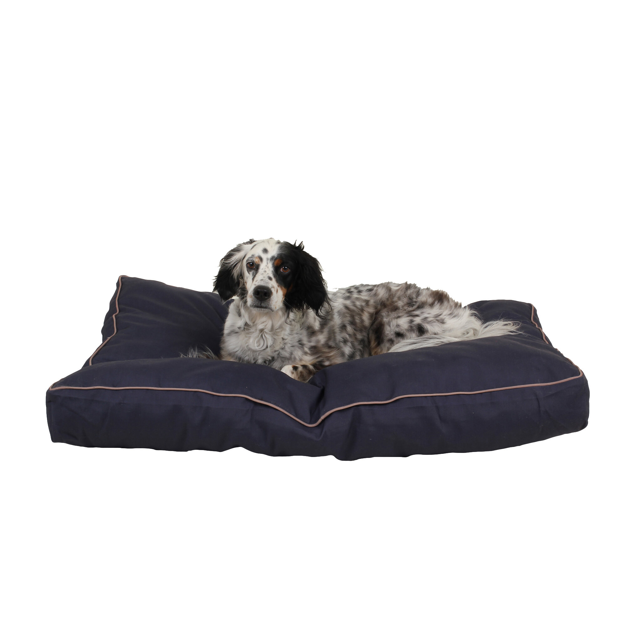 outdoor dog bed