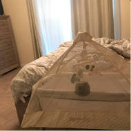 arm's reach co sleeper canopy