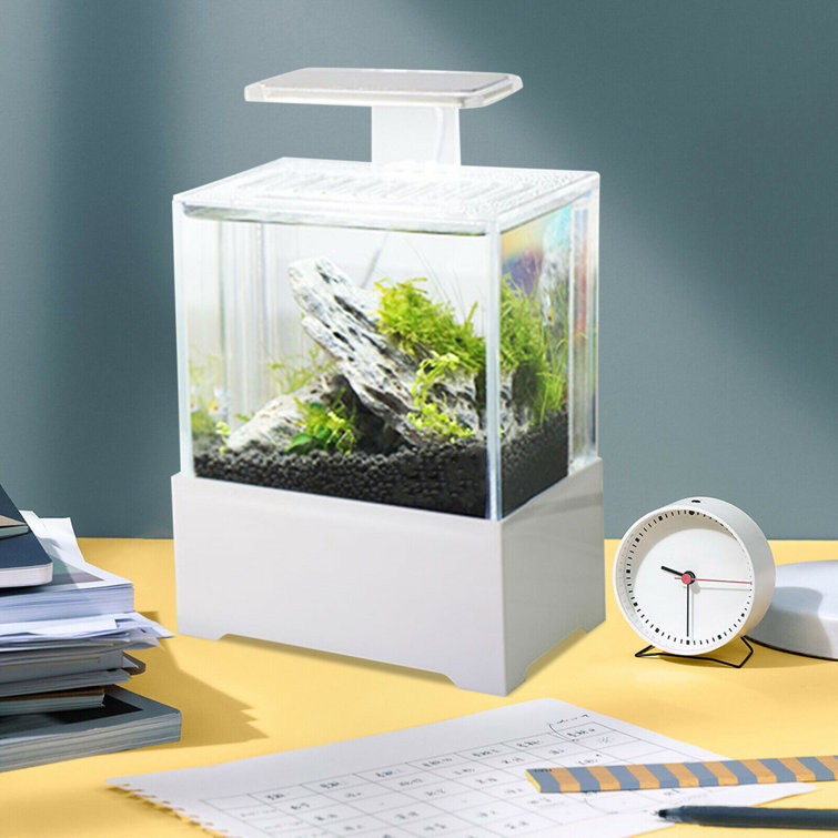 desktop fish tank