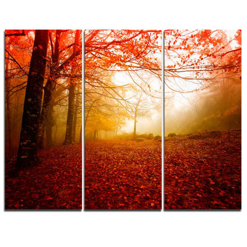 Designart Yellow Sun Rays In Red Forest 3 Piece Graphic Art On Wrapped Canvas Set Wayfair