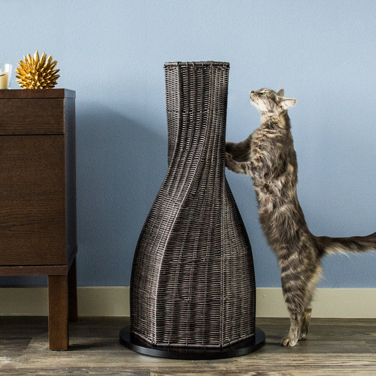 get a cat to use scratching post