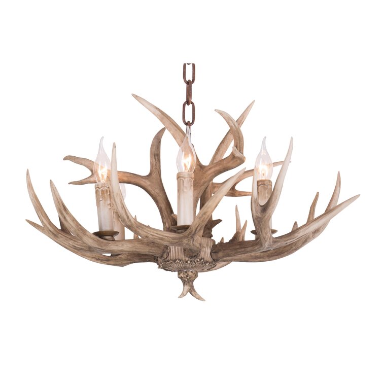 Millwood Pines Wehrle 6 - Light Antler Geometric Chandelier | Wayfair