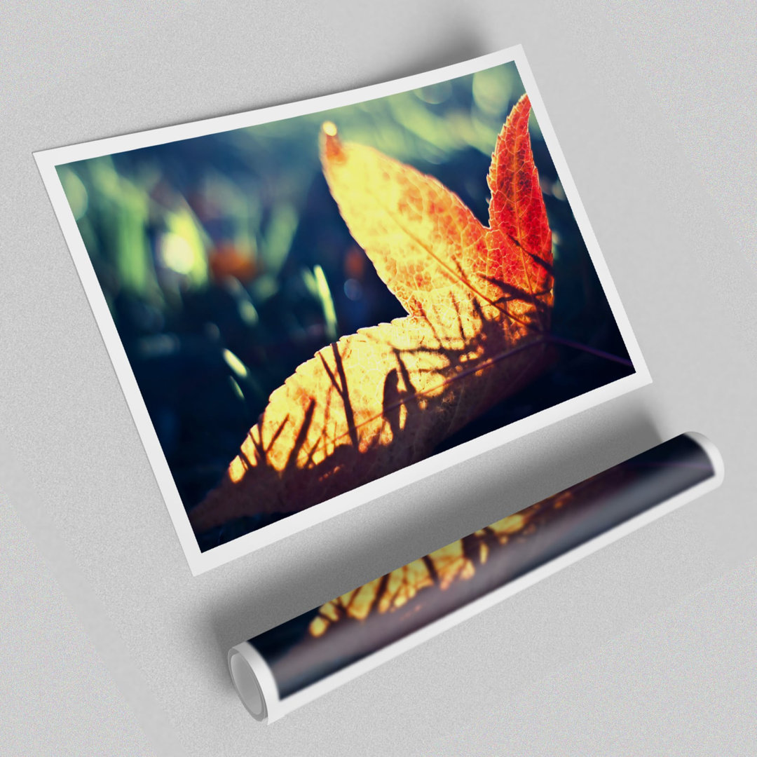 Deal Detail