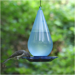 Bee Proof Hummingbird Feeder Wayfair