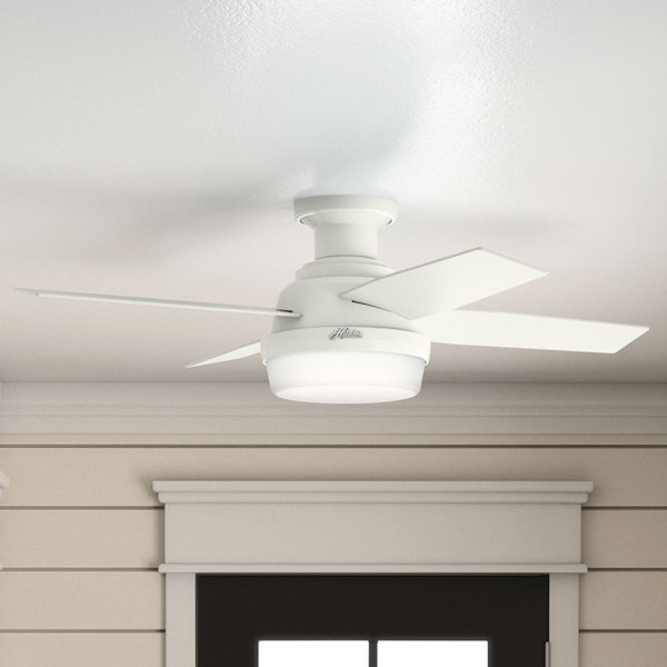 Ceiling Fans For Low Ceilings Wayfair Ceiling Fans For Low Ceilings Wayfair