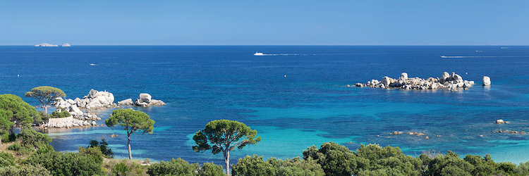 Palombaggia Beach Porto Vecchio Corse Du Sud Corsica France By Panoramic Images Photographic Print On Wrapped Canvas